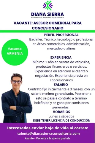 Asesor Comercial para Concesionario - Diana Sierra Consultoría