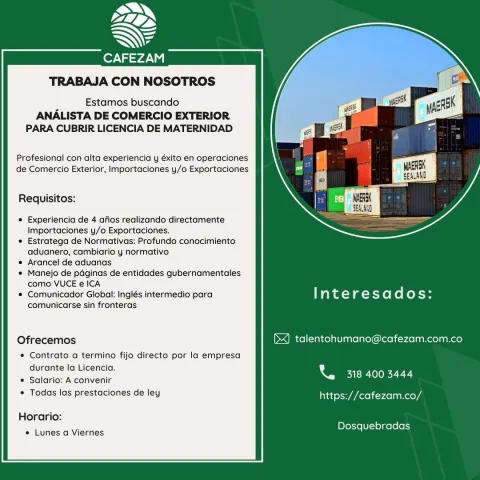 analista comercio exterior