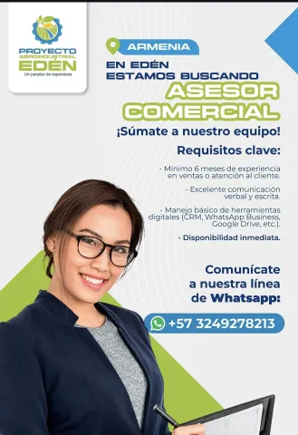 asesor comercial