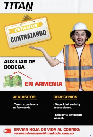 auxiliar de bodega