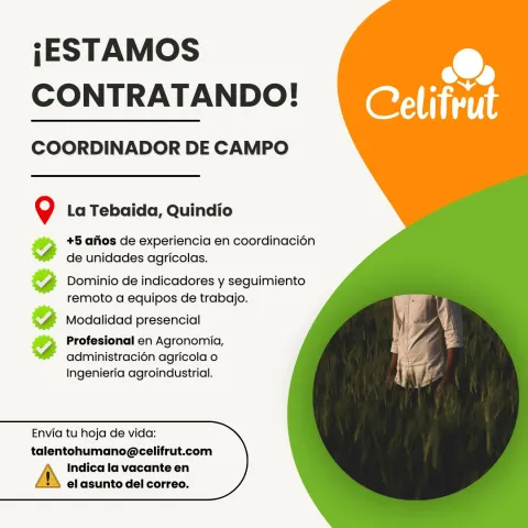 coordinador de campo