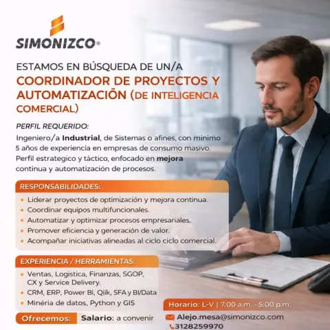 coordinador de proyectos