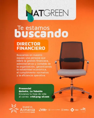 director financiero