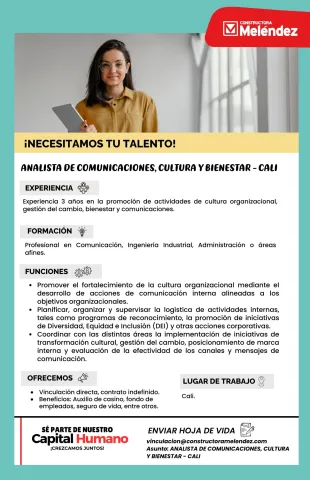 analista de comunicaciones