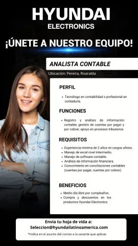 analista contable