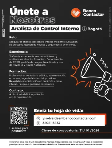 analista de control interno