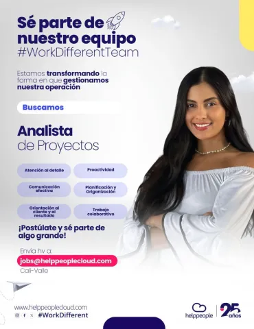 analista de proyectos