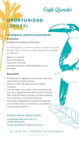 analista de sistemas