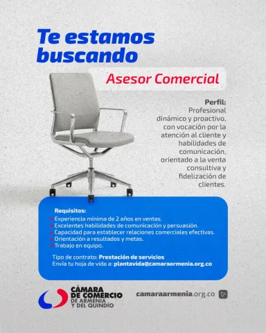 asesor comercial