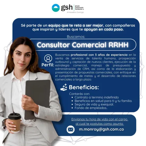 consultor comercial rrhh