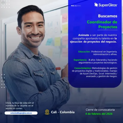 coordinador de proyectos