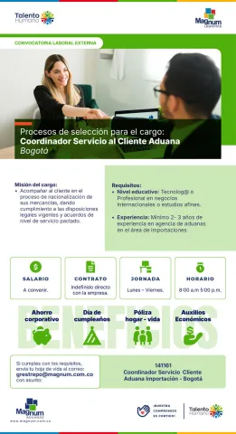 coordinador de servicio aduana
