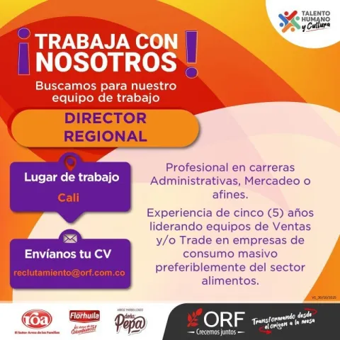 director regional