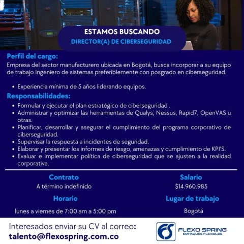 director ciberseguridad