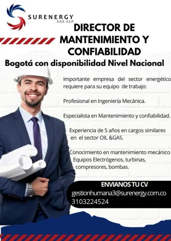 director de mantenimiento y confiabilidad