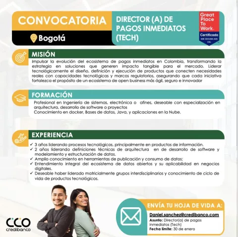 director de pagos inmediatos