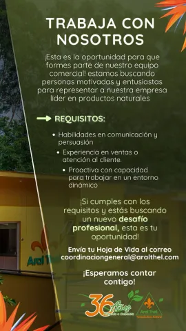 ejecutivo comercial
