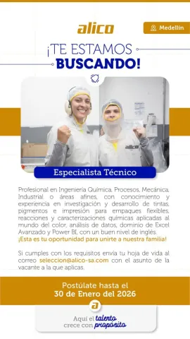 especialista técnico