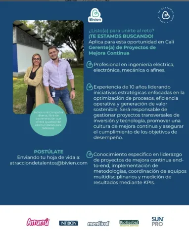 gerente de proyectos de mejora continua