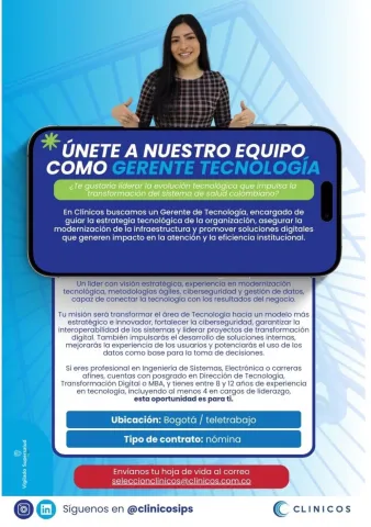 gerente de tecnología