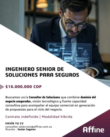 ingeniero senior