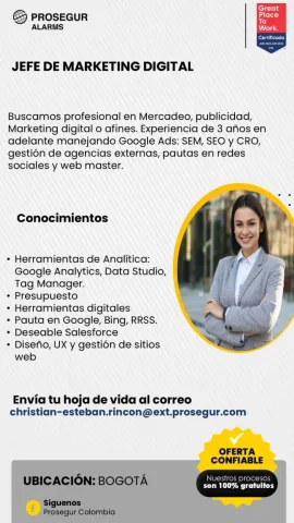 jefe de marketing digital