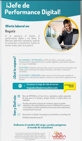 jefe de performance digital