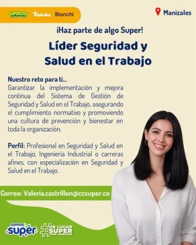 lider de seguridad y salud en el trabajo