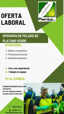 operaria pelada platano