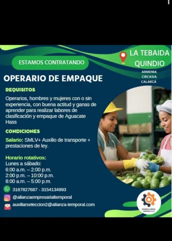 operario de empaque