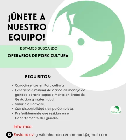 operarios porcicultura