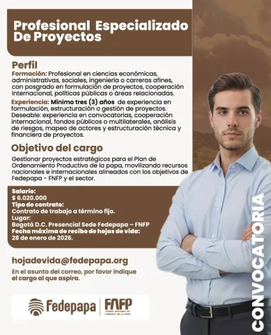 profesional especializado proyectos