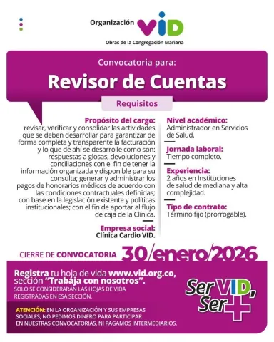 revisor cuentas