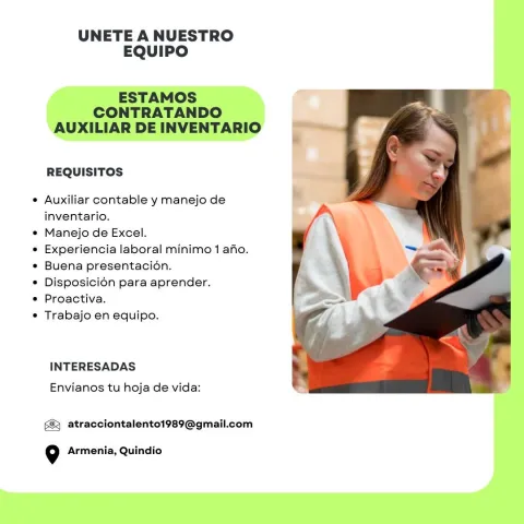 auxiliar de inventario