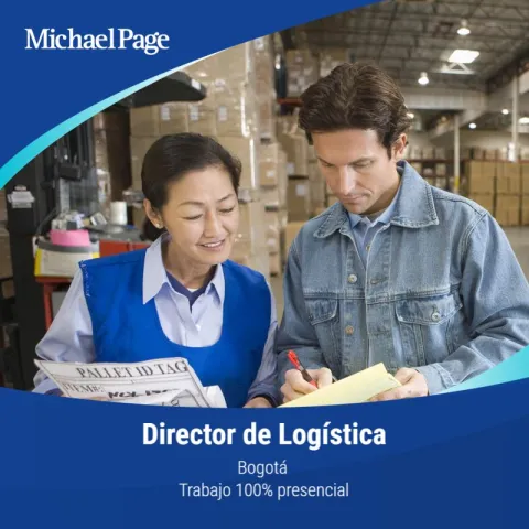 director de logistica