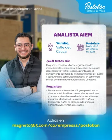 analista AIEM