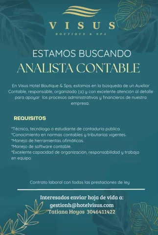 analista contable