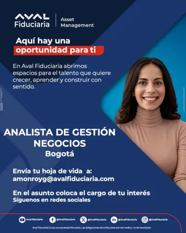analista de gestión de negocios