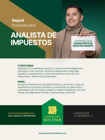 analista de impuestos