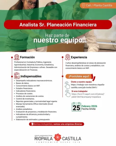 analista de planeación financiera