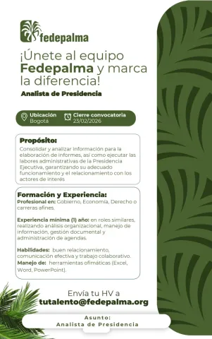 analista de presidencia