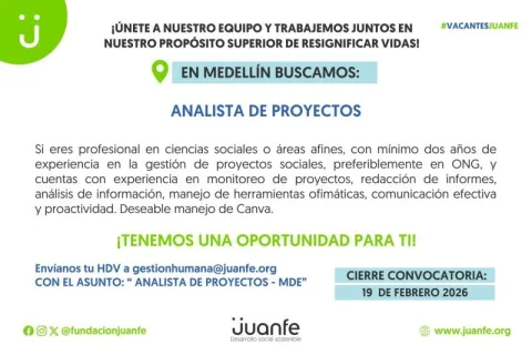 analista de proyectos