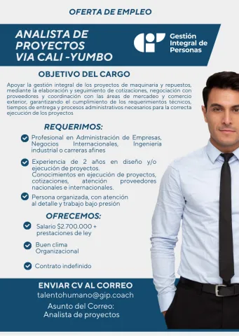 analista de proyectos