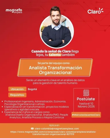 analista de transformación organizacional