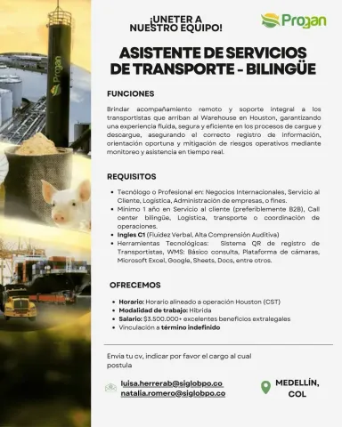 asistenre servicios