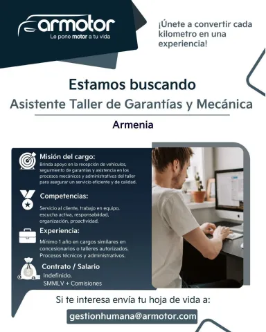 asistente taller de garantías