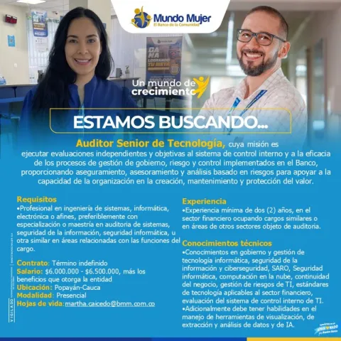 auditor senior tecnología