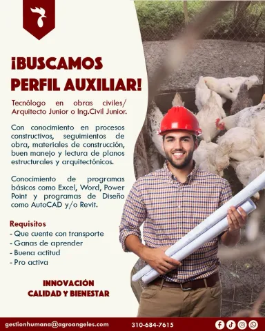 auxiliar obras civiles