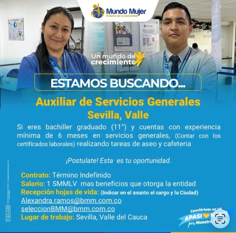 auxiliar servicios