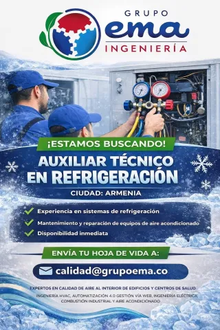 auxiliar tecnico
